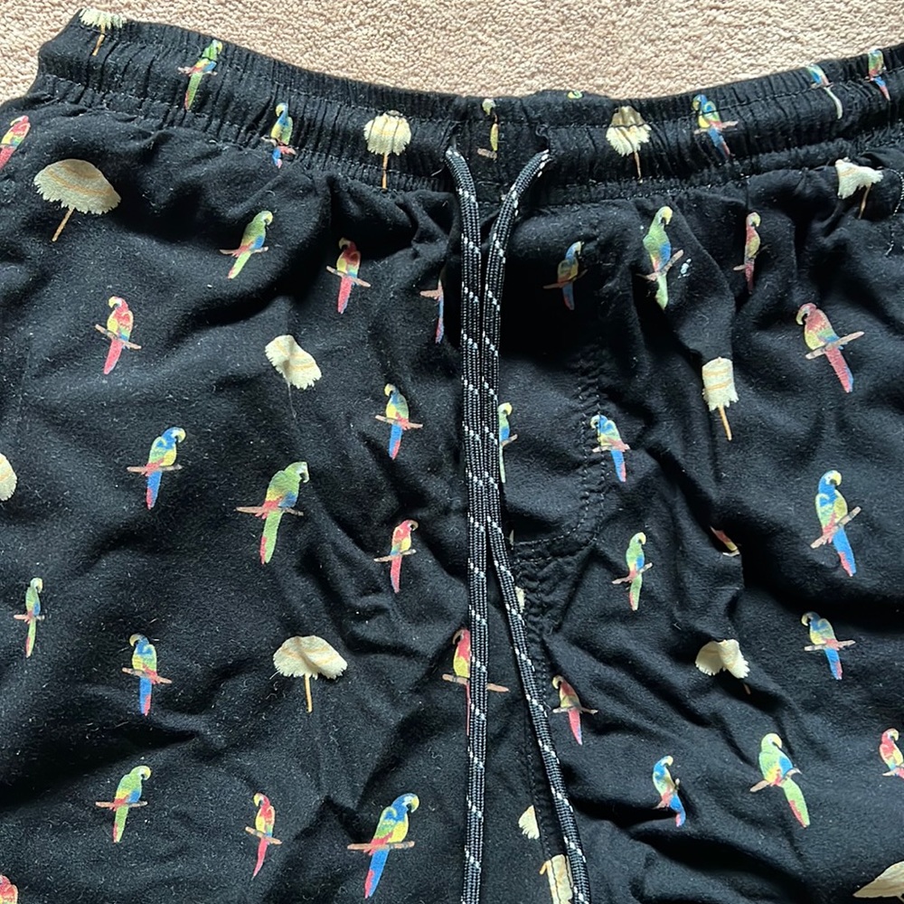 Men’s tropical parrot shorts with grass umbrellas